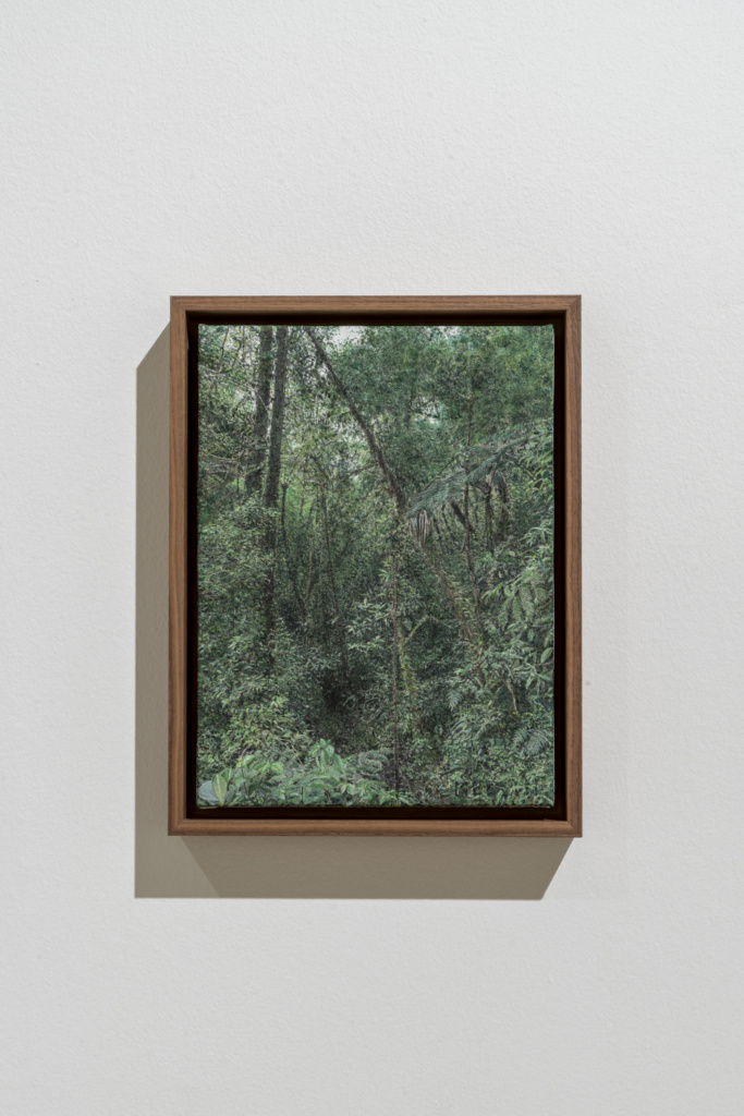Haley Mellin, Siamo Natura exhibition at Museo Novocento